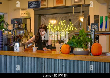Young female barista making latte, Molly's Reach, Black Bean Cafe, Gibsons, Sunshine Coast, British Columbia, Canada Stock Photo