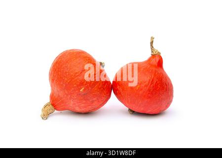 Studio photo of two fresh orange Hokkaido pumpkins isolated on a clean white background. Ideal for autumn, harvest, Thanksgiving, or healthy food Stock Photo