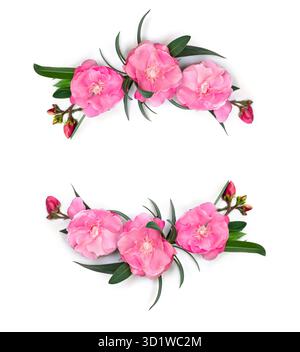 Frame of pink flowers Nerium oleander and leaves on a white background with space for text. Top view, flat lay Stock Photo