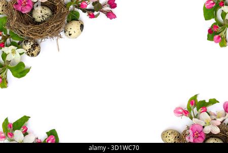 Flowers apple tree and nest with quail eggs on a white background with space for text. Spring or Easter decoration. Top view, flat lay Stock Photo