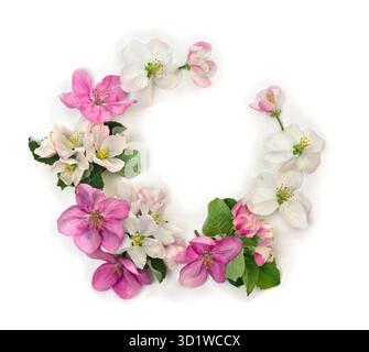 Wreath of pink white flowers apple tree on a white background with space for text. Top view, flat lay Stock Photo