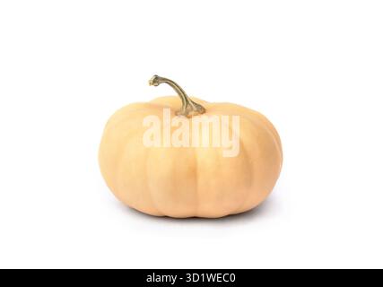 One whole muscat pumpkin isolated on a white background with empty space for text, minimal food concept, healthy eating, autumn harvest vegetable Stock Photo
