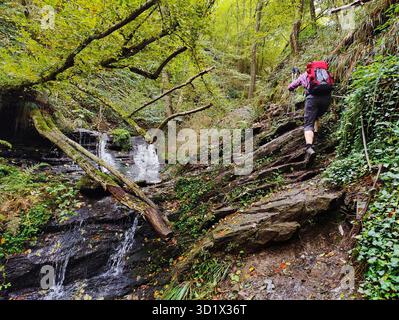 Hiker in the Hoelzbachklamm with small waterfall, Morbach, Rhineland-Palatinate, Germany, Europe Stock Photo