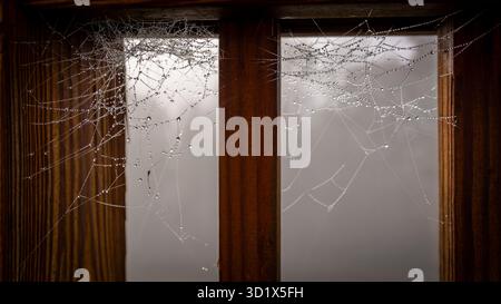 Delicate spiderwebs covered in tiny dew droplets glistening between the wooden beams of a railing on a misty morning. Stock Photo