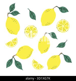 Tropical set of yellow lemons and lemon slices. Hand drawn lemons pattern on white background. for fabric, drawing labels, print, wallpaper Stock Vector