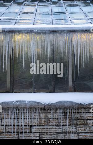 Greenhouse facade covered with icicles during cold winter season. Stock Photo