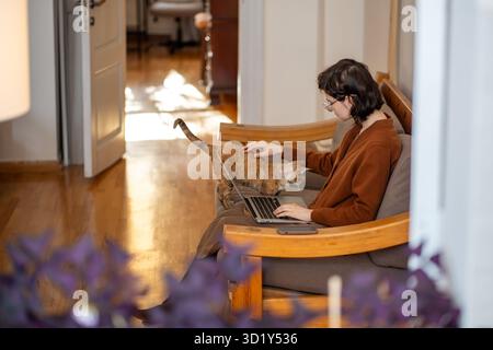 Cat wants attention from woman freelancer who working at home on laptop. Pet therapy, antistress. Stock Photo