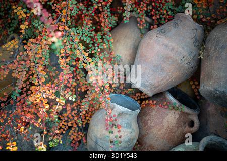 Handmade terracotta clay empty jugs, handicrafts of decorative ceramic pottery lying on ground Stock Photo