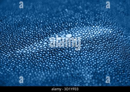Stingray skin texture. Background nature wallpaper. Colored leather pattern. Blue color. Close up. Copyspace. Toned Stock Photo