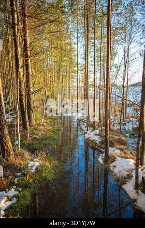 Reflections in melting snow pools ater a winter storm. Near Balanced ...