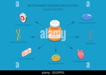 3D Isometric Flat  Illustration of Health Benefits Of NAD plus, Anti-Aging Therapy Stock Photo