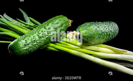 Fresh Cucumbers with Dew Drops on Black Background Stock Photo