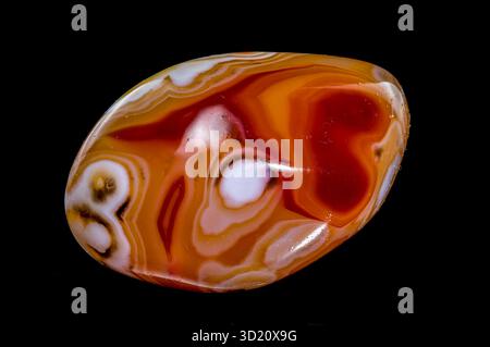 Polished Agate Specimen with Swirling Bands on Black Stock Photo