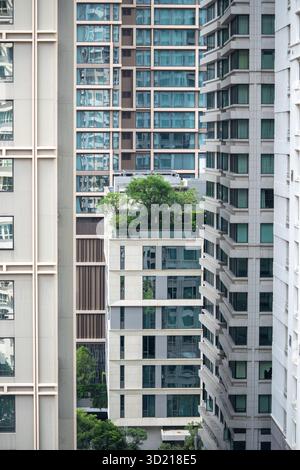 A closer look at High Rise Green Living