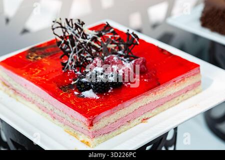 Strawberry swiss dome cake layers are beautifully decorated with smooth cream and topped with fresh cherries. Stock Photo