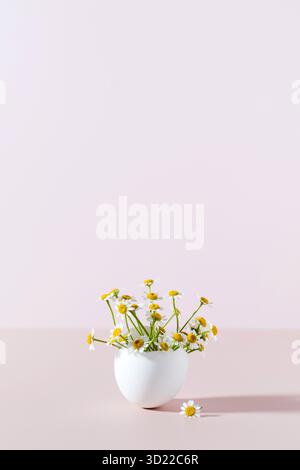 Spring and Easter concept, A bouquet of daisies in an eggshell on a pink background with shadows. Stock Photo