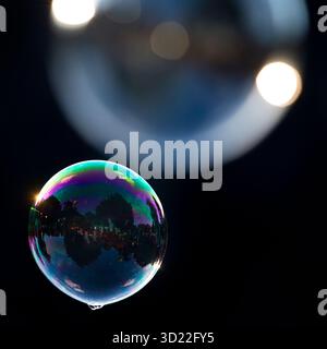 Two soap bubbles shimmering and floating in all colors against black background, Recklinghausen, North Rhine-Westphalia, Germany Stock Photo