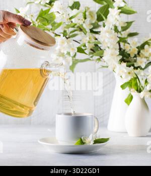Green Chinese tea is poured from a teapot into a mug against the background of jasmine branches. Stock Photo
