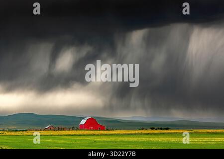 Stormy sky over a red barn in a vast green field with dark dramatic clouds. Stock Photo
