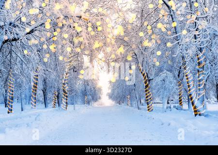 Winter landscape in a park with trees decorated with Christmas garlands. Christmas winter background with garland lights. Holiday background. Stock Photo