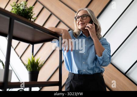 Stylish business adult woman talking on the phone in the office Stock Photo