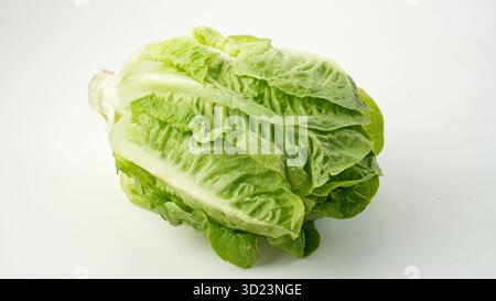Fresh green romaine lettuce isolated on white background Stock Photo