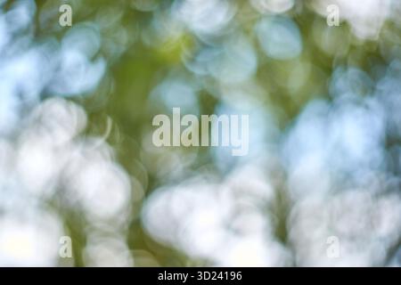 Abstract nature bokeh background with soft green and blue out-of-focus light Stock Photo