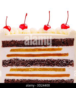Layered chocolate cake with cherries on top in a bright setting Stock Photo