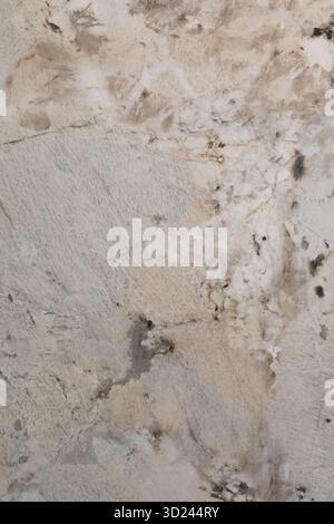 Detailed view of textured wall surface showing natural patterns and discolorations from weathering over time Stock Photo