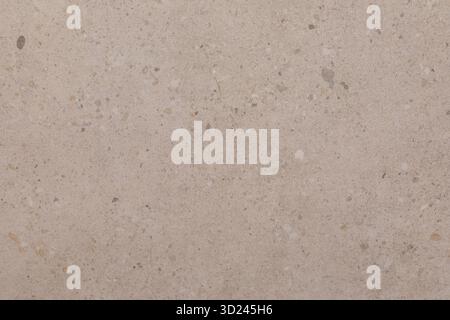 Light beige textured surface showcasing natural variations and small stones in a contemporary setting Stock Photo