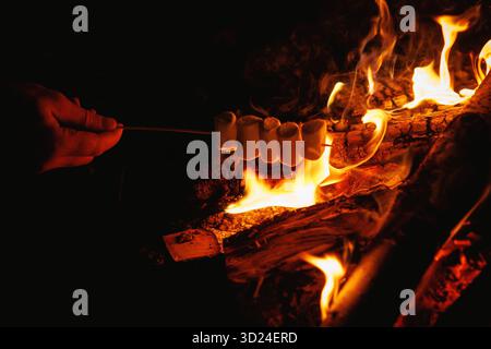 Hand holding a skewer with marshmallows roasting over open campfire flames at night outdoors. Stock Photo