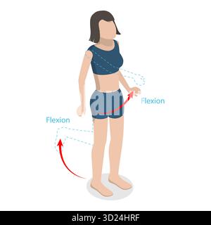 3D Isometric Flat  Illustration of Flexion And Extension, Human Body Movement. Item 2 Stock Photo