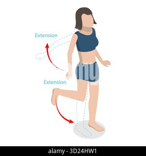 3D Isometric Flat  Illustration of Flexion And Extension, Human Body Movement. Item 1 Stock Photo