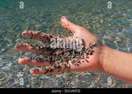 A hand holds pebbles near clear water, creating a tactile experience. Waterton, AB Stock Photo