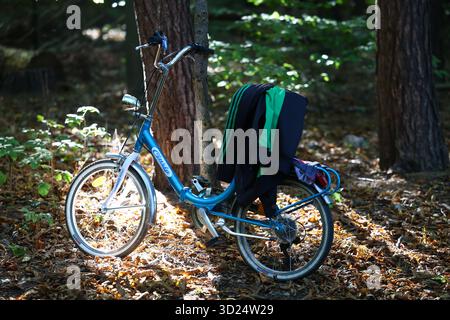 blue classic bicycle leaning against a tree in a sunny forest Stock Photo