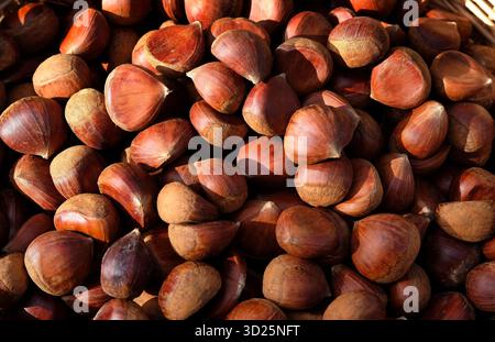 display of sweet chestnuts on market stall, norfolk, england Stock Photo
