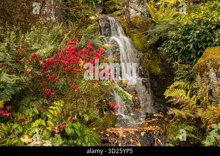 WA28694-00...WASHINGTON - Small waterfall at Kubota Garden, a Seattle City Park. Stock Photo