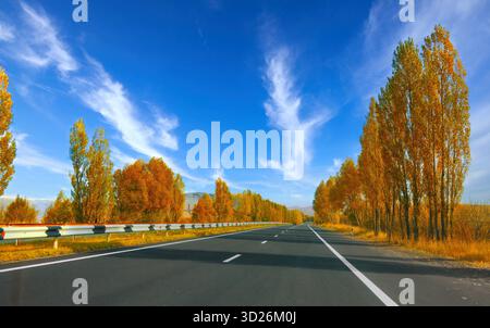A road with trees on both sides and a clear blue sky. The trees are orange and yellow, and the sky is blue Stock Photo