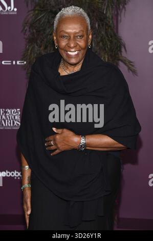 Bethann Hardison attends the WSJ. Magazine Innovator Awards at The ...