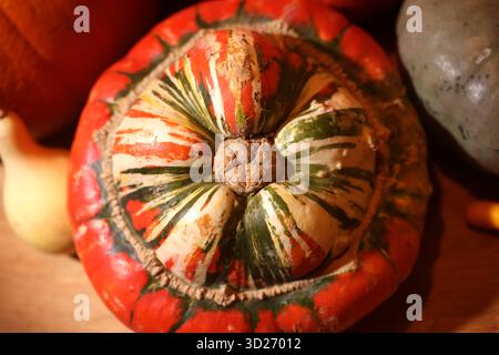 A range of Autumnal Pumpkins pictured in Chichester, West Sussex, UK. Stock Photo