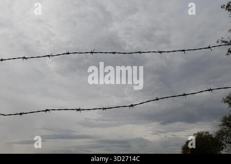 A close-up of two rows of barbed wire stretching out in silhouette against a cloudy, gray sky. Constraint and obstruction. Stock Photo