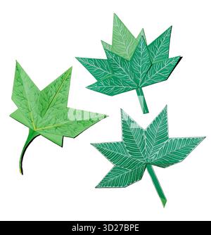 origami green leaves of hemp and maple trees on white background Stock Photo