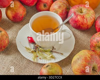 A white cup of linden tea with a spoon, set against a backdrop of fresh natural organic homegrown autumn apples Stock Photo