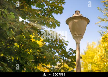 A street light is lit up in a park. The light is white and is surrounded by trees. The light is shining through the leaves, creating a beautiful and p Stock Photo