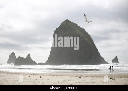 Two individuals stroll on a sandy shore, enjoying the cool breeze and gray skies. The iconic rock formation rises majestically from the ocean, creatin Stock Photo