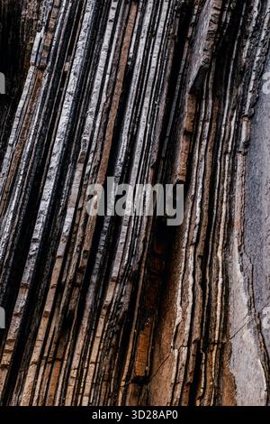 Flysch Rock Formation Close-Up, Layered Sedimentary Strata Detail, Zumaia, Basque Country, Spain, Geological, Natural Patterns, UNESCO Geopark Stock Photo