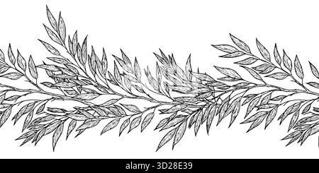 Twigs with elegant thin leaves, seamless horizontal bodice. Vector illustration. Willow or eucalyptus branches, isolated on a white background. For po Stock Vector