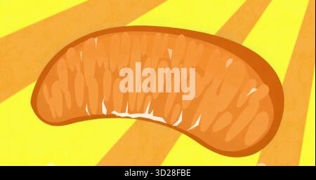Floating stylized mandarin orange segment on yellow field with sunbeam stripes, abstract art Stock Photo