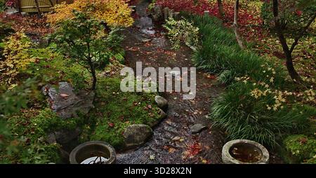 Forest stream cascades over rocks through autumn leaves Stock Photo