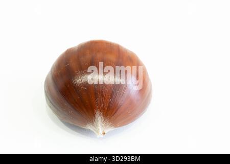 Edible sweet chestnuts with roasted chestnuts isolated on white background. Stock Photo